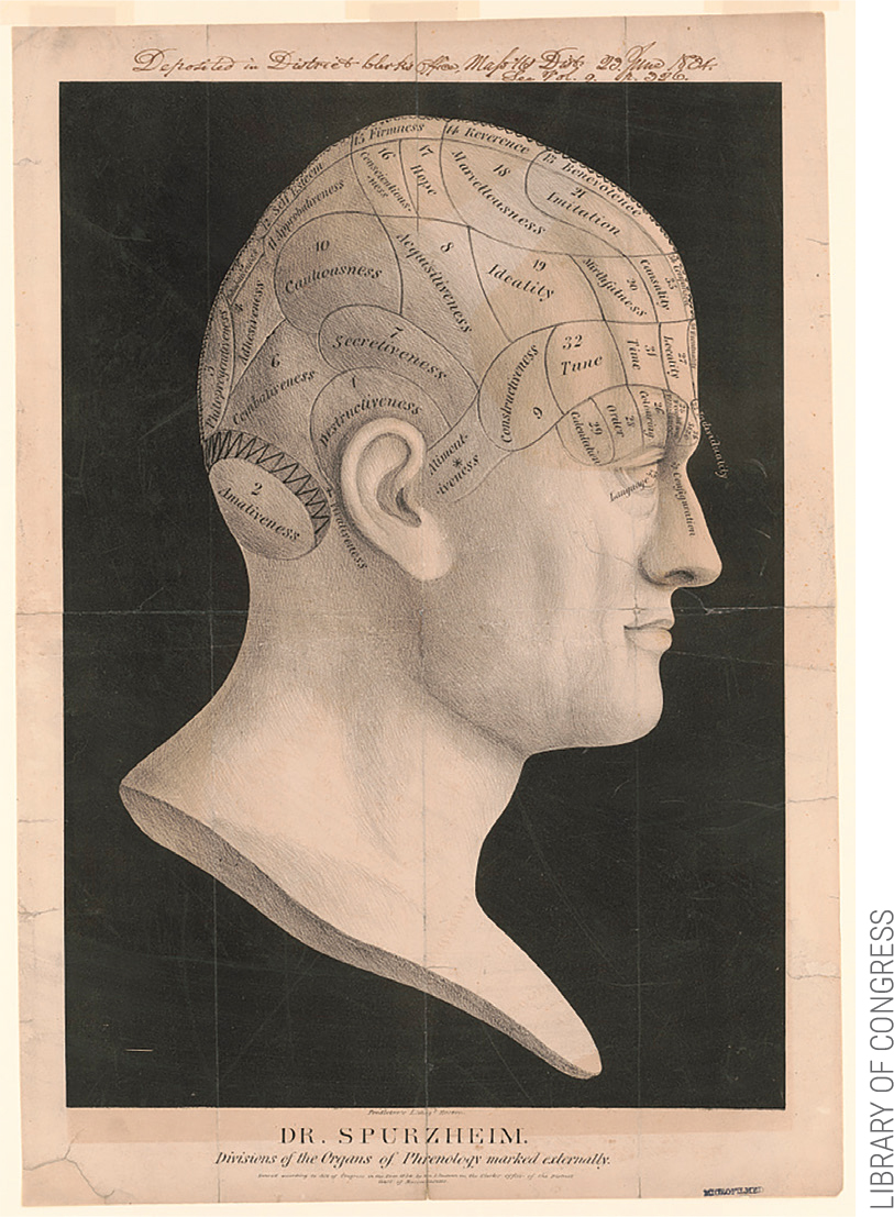 Dr. Spurzheim--divisions of the organs of phrenology marked externally https://www.loc.gov/item/96510110/